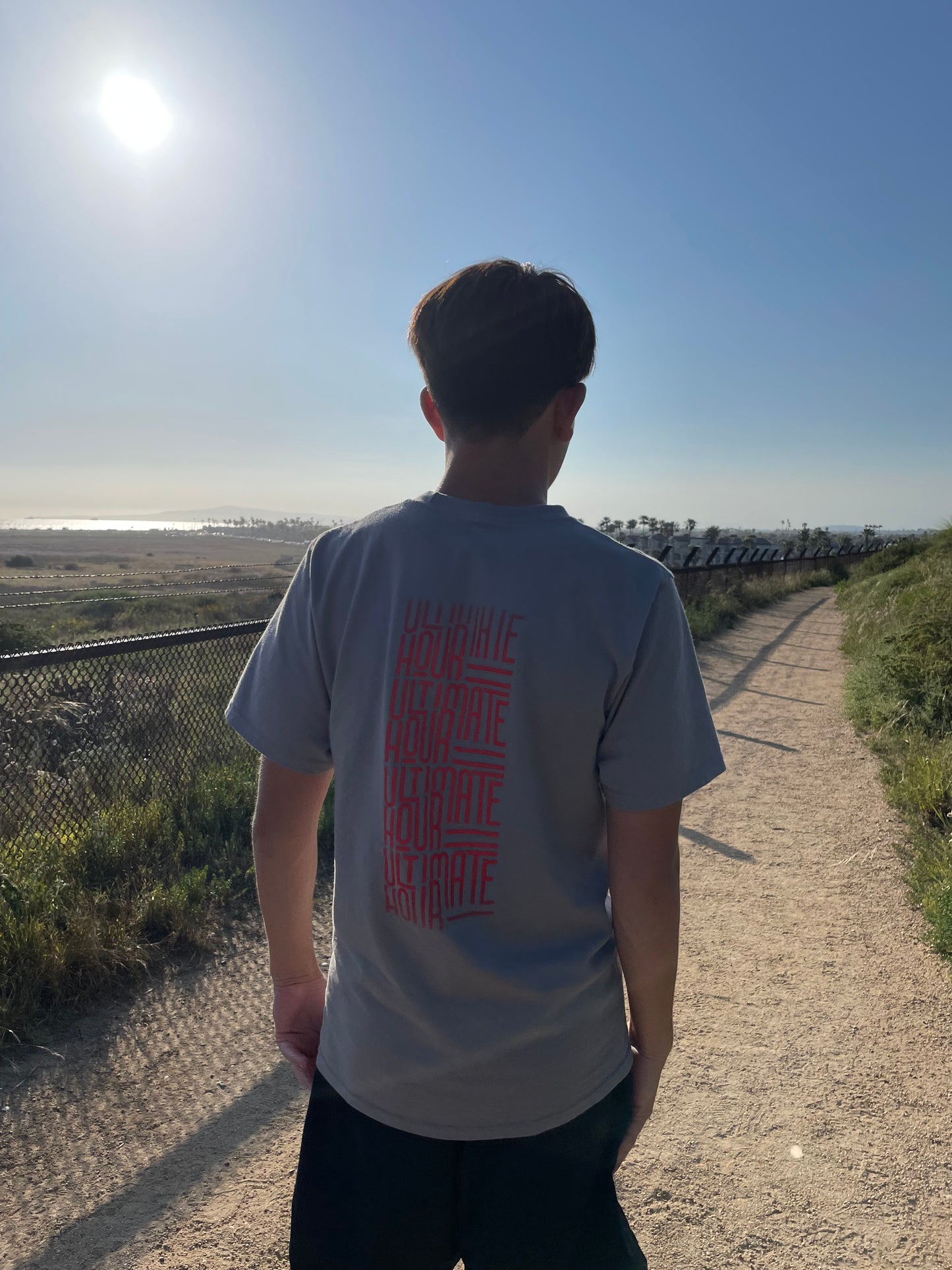 Mens Short sleeve Graphic Tee - Gray